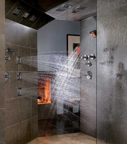 SHOWER POWER: Make WaterTile bodysprays a part of your universal design package. The tiles can be installed at different heights on a wall or ceiling or at an angle at the intersection of the wall and ceiling to accommodate residents' needs. In addition to more functionality, the product offers a clean look. A wall-mount showerhead also is available. Both models come in two spray intensities.