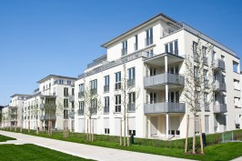 Adobe Stock/Zoe
