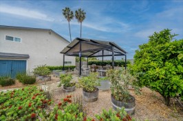 Community Garden