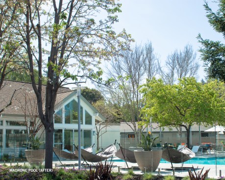 Madrone Apartments - Prometheus Real Estate Group: Grand Winner/Apartment Renovation